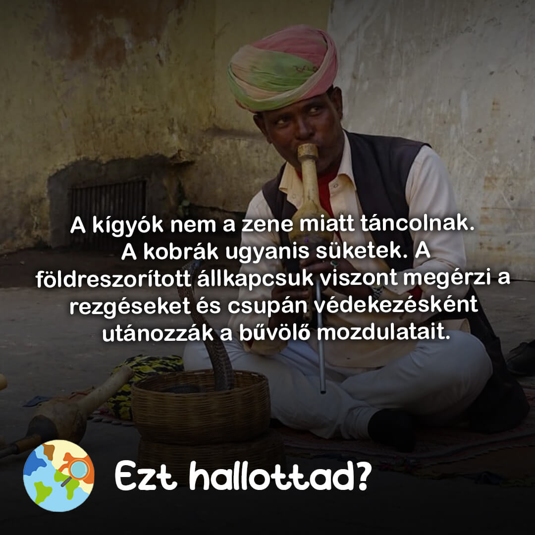 ezt hallottad?