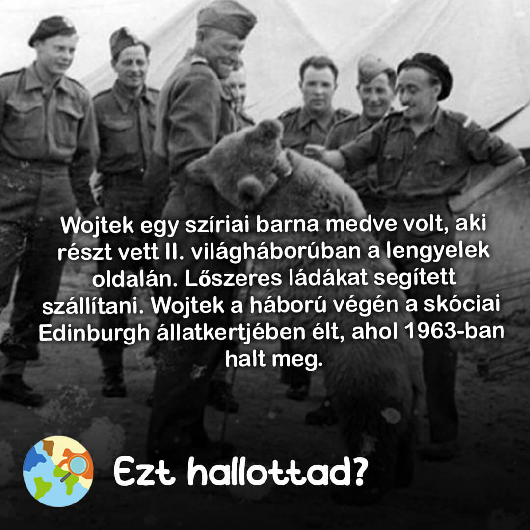 ezt hallottad?