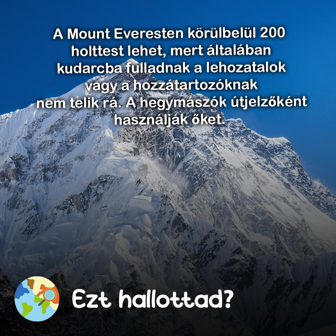 Ezt hallottad 74
