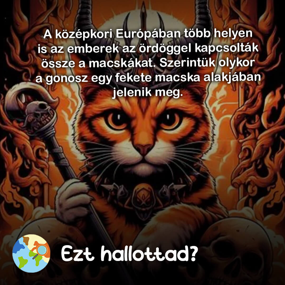 Ezt hallottad 79