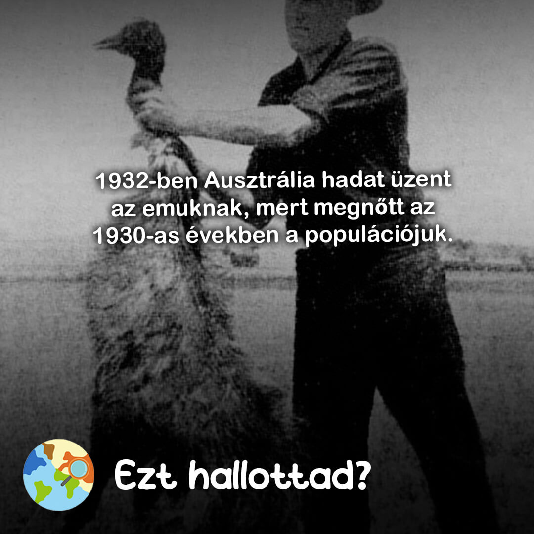 Ezt hallottad 85