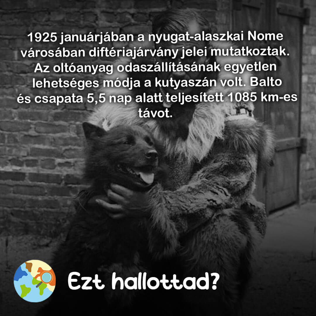Ezt hallottad 93